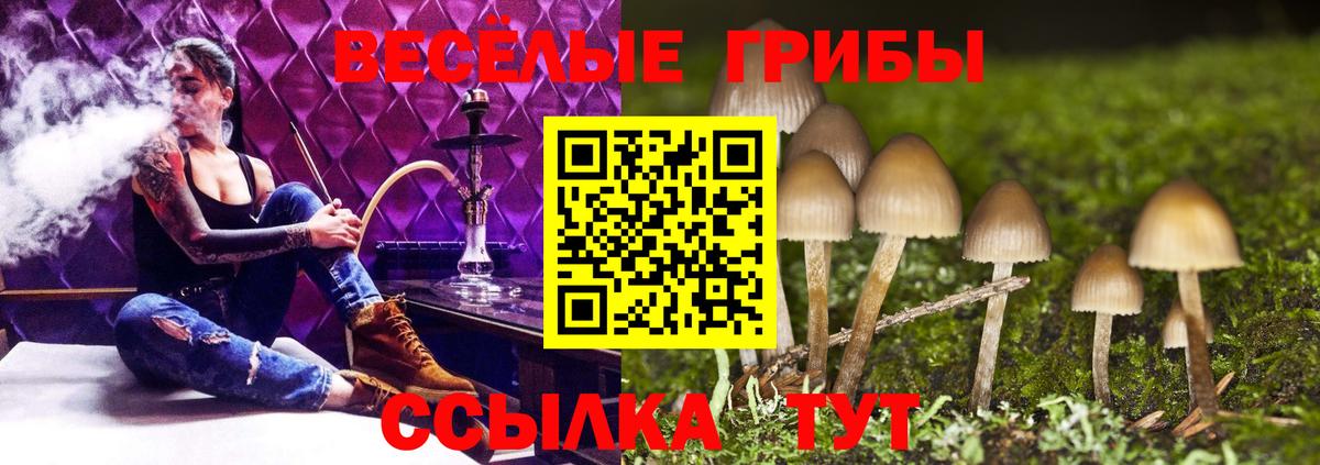 Галлюциногенные грибы прущие грибы Куйбышев