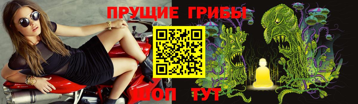 Псилоцибиновые грибы мухоморы  Галлюциногенные грибы GOLDEN TEACHER  Куйбышев  Вход с VPN 